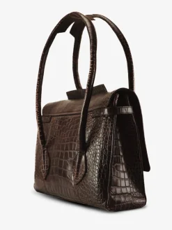 Colette M Alligator