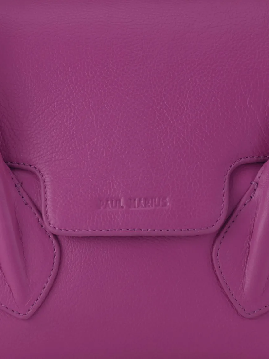 Colette S Sorbet