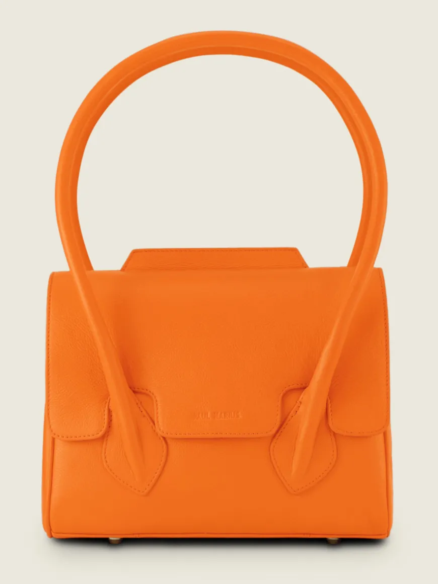 Colette S Sorbet