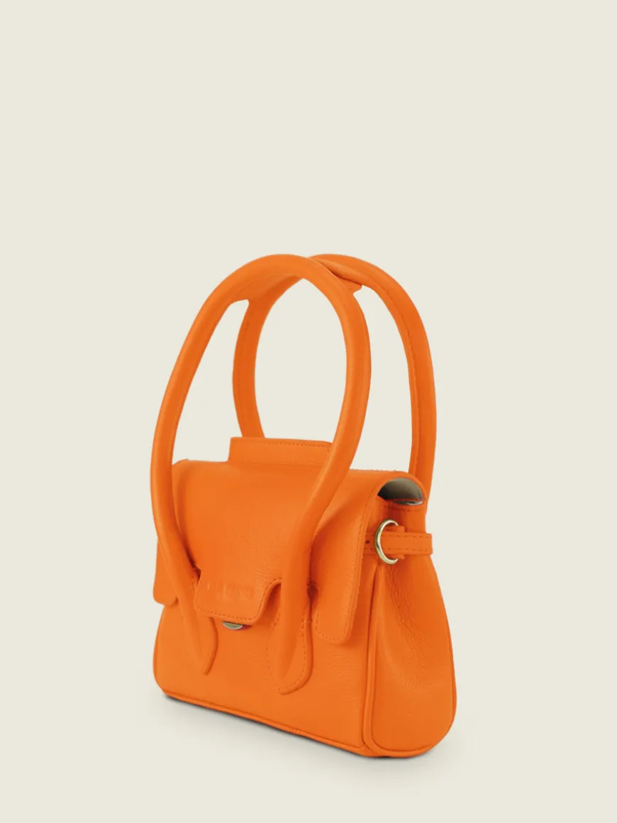Colette Xs Sorbet