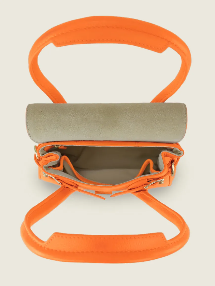Colette Xs Sorbet