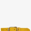 Laceinture Magnifique Nubuck - 25Mm