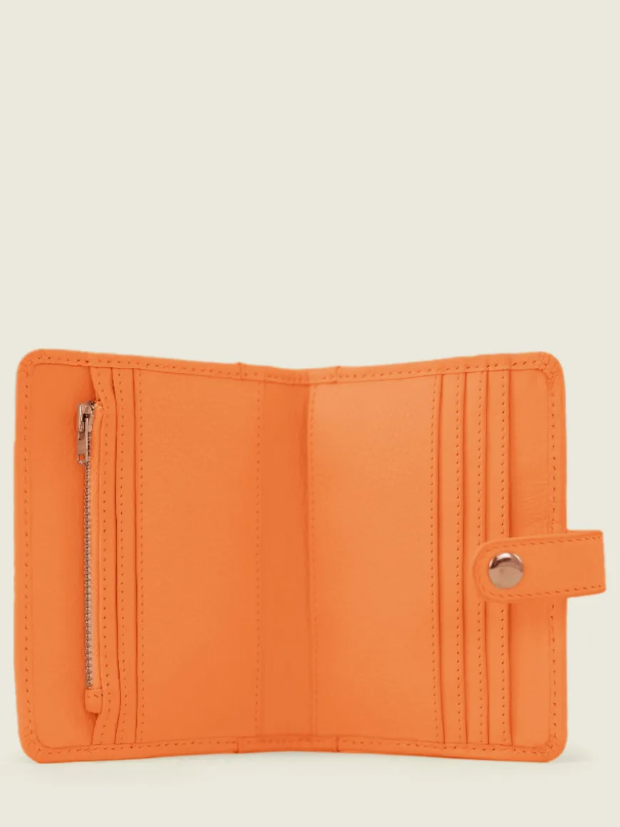 Leportefeuille Jeanne Pastel