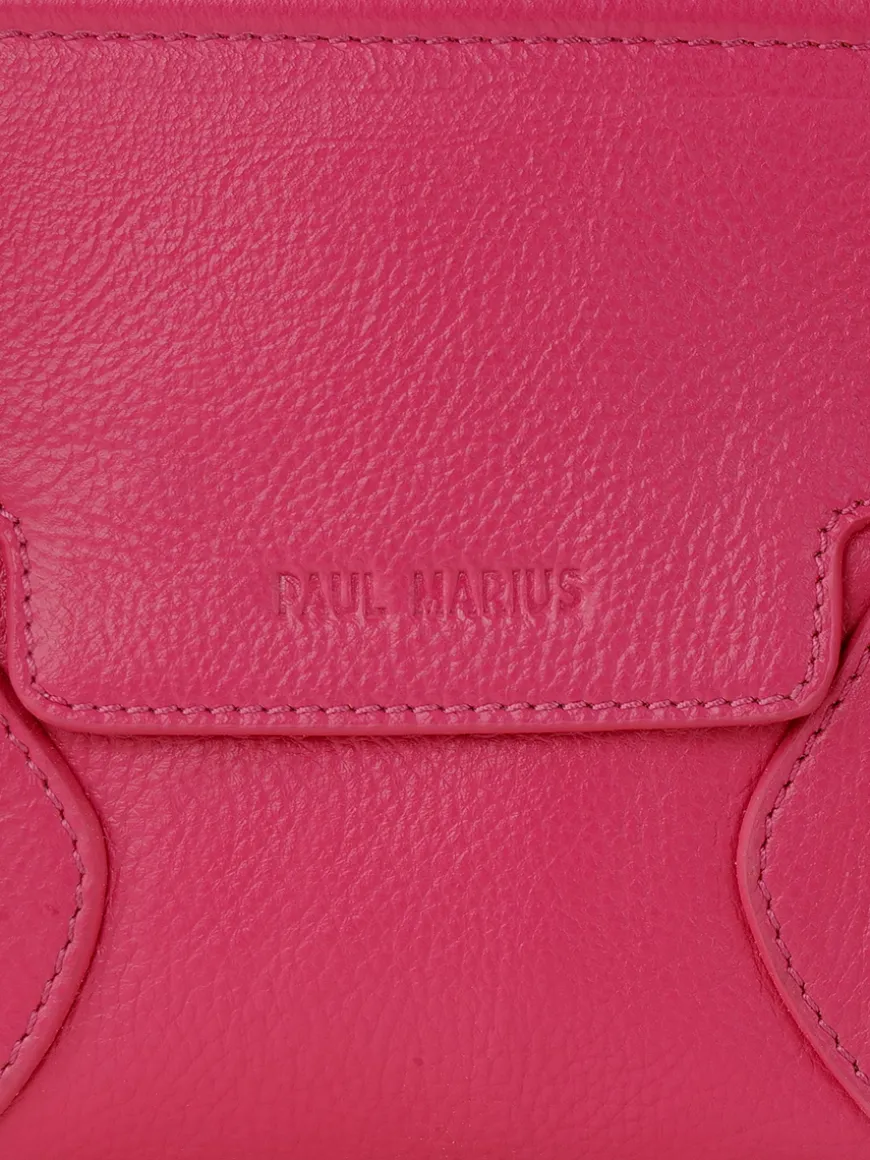 Madeleine S Sorbet